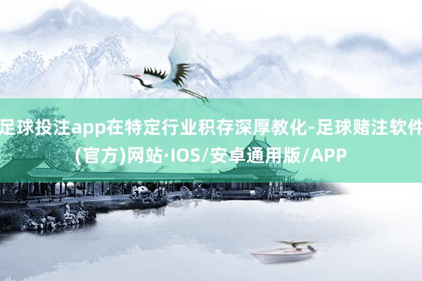 足球投注app在特定行业积存深厚教化-足球赌注软件(官方)网站·IOS/安卓通用版/APP
