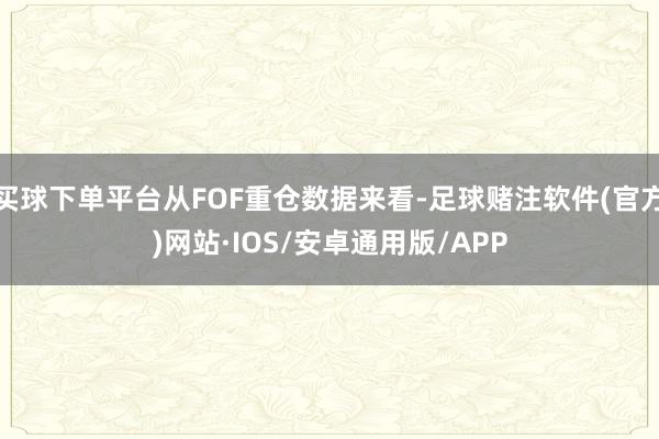 买球下单平台从FOF重仓数据来看-足球赌注软件(官方)网站·IOS/安卓通用版/APP