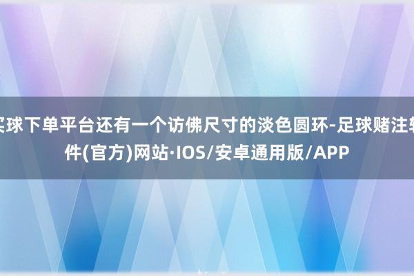 买球下单平台还有一个访佛尺寸的淡色圆环-足球赌注软件(官方)网站·IOS/安卓通用版/APP