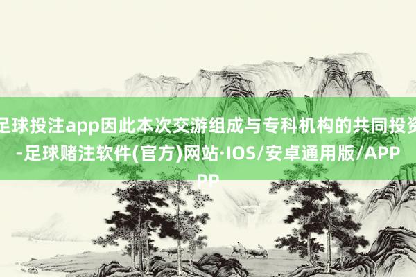 足球投注app因此本次交游组成与专科机构的共同投资-足球赌注软件(官方)网站·IOS/安卓通用版/APP
