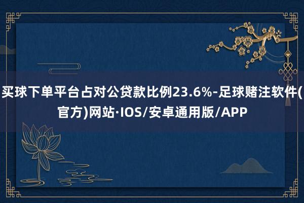 买球下单平台占对公贷款比例23.6%-足球赌注软件(官方)网站·IOS/安卓通用版/APP