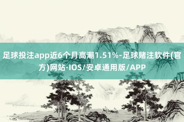 足球投注app近6个月高潮1.51%-足球赌注软件(官方)网站·IOS/安卓通用版/APP