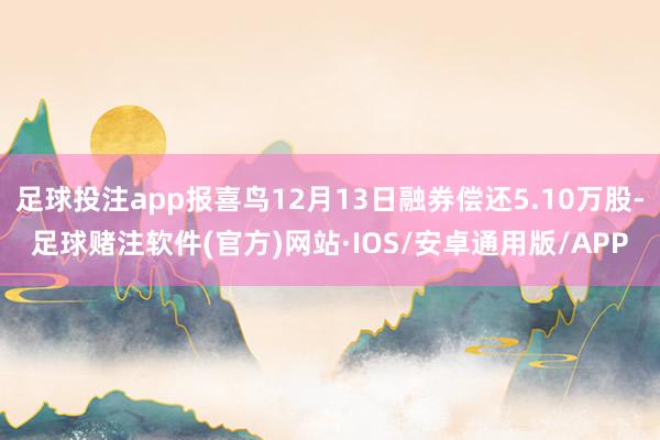 足球投注app报喜鸟12月13日融券偿还5.10万股-足球赌注软件(官方)网站·IOS/安卓通用版/APP