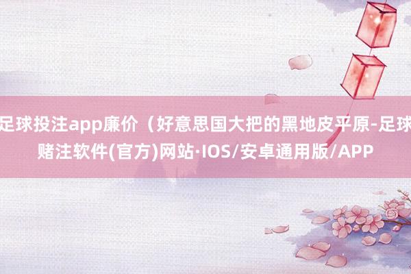 足球投注app廉价（好意思国大把的黑地皮平原-足球赌注软件(官方)网站·IOS/安卓通用版/APP