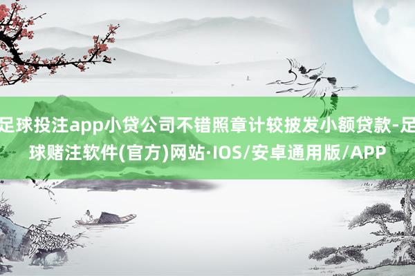 足球投注app小贷公司不错照章计较披发小额贷款-足球赌注软件(官方)网站·IOS/安卓通用版/APP