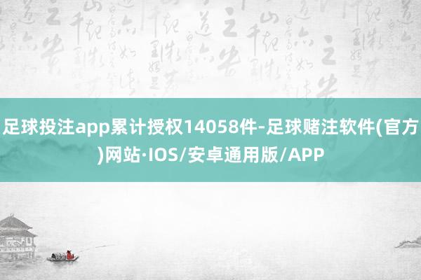 足球投注app累计授权14058件-足球赌注软件(官方)网站·IOS/安卓通用版/APP
