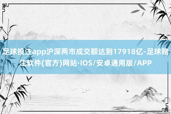 足球投注app沪深两市成交额达到17918亿-足球赌注软件(官方)网站·IOS/安卓通用版/APP