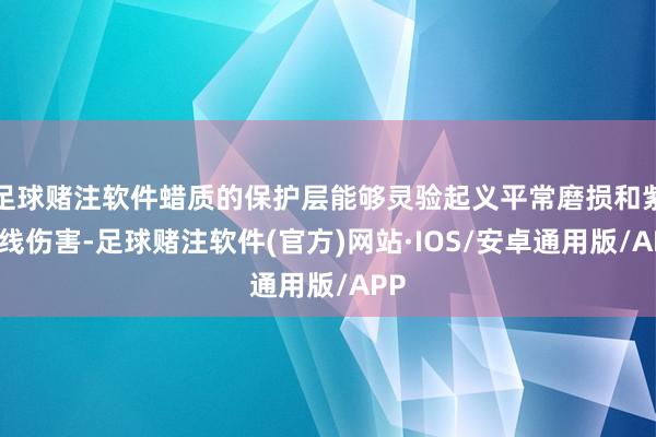 足球赌注软件蜡质的保护层能够灵验起义平常磨损和紫外线伤害-足球赌注软件(官方)网站·IOS/安卓通用版/APP
