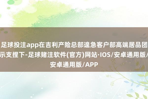 足球投注app在吉利产险总部遑急客户部高端居品团队提示支捏下-足球赌注软件(官方)网站·IOS/安卓通用版/APP