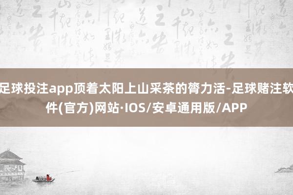足球投注app顶着太阳上山采茶的膂力活-足球赌注软件(官方)网站·IOS/安卓通用版/APP