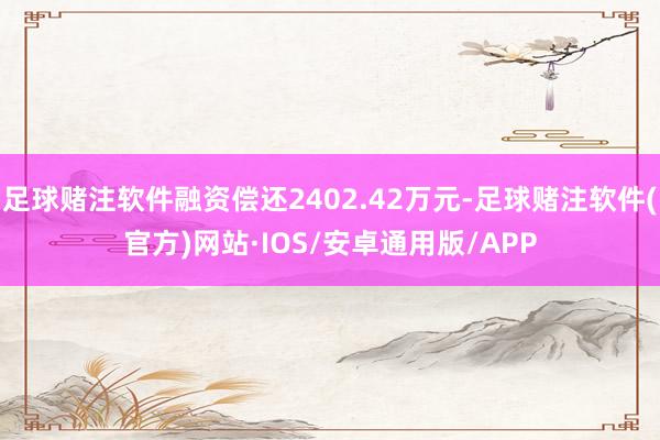 足球赌注软件融资偿还2402.42万元-足球赌注软件(官方)网站·IOS/安卓通用版/APP