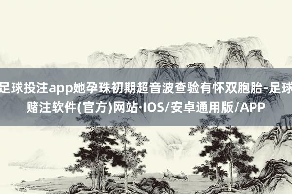 足球投注app她孕珠初期超音波查验有怀双胞胎-足球赌注软件(官方)网站·IOS/安卓通用版/APP
