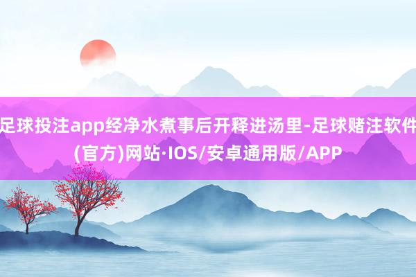 足球投注app经净水煮事后开释进汤里-足球赌注软件(官方)网站·IOS/安卓通用版/APP