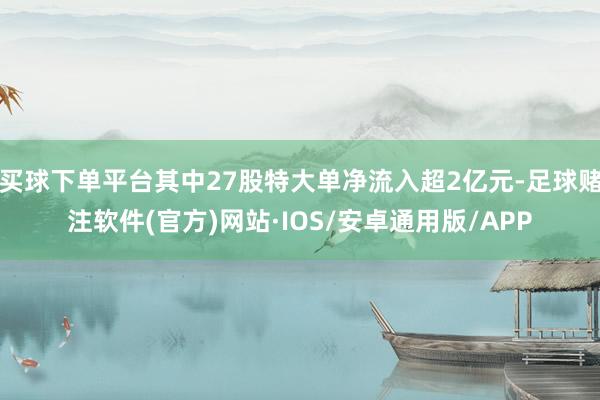 买球下单平台其中27股特大单净流入超2亿元-足球赌注软件(官方)网站·IOS/安卓通用版/APP