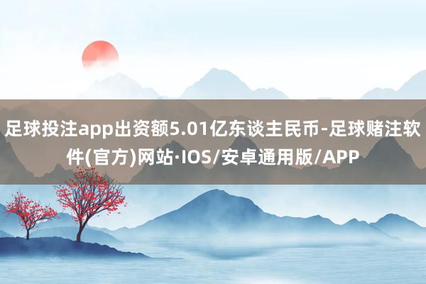 足球投注app出资额5.01亿东谈主民币-足球赌注软件(官方)网站·IOS/安卓通用版/APP