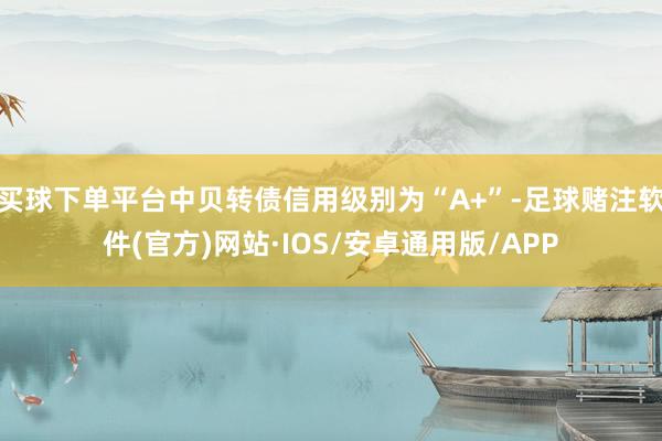 买球下单平台中贝转债信用级别为“A+”-足球赌注软件(官方)网站·IOS/安卓通用版/APP