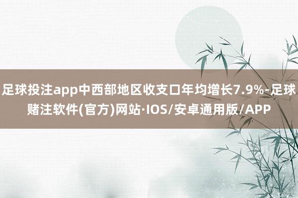 足球投注app中西部地区收支口年均增长7.9%-足球赌注软件(官方)网站·IOS/安卓通用版/APP