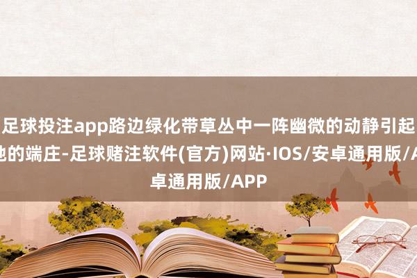 足球投注app路边绿化带草丛中一阵幽微的动静引起了她的端庄-足球赌注软件(官方)网站·IOS/安卓通用版/APP