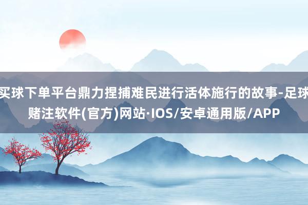 买球下单平台鼎力捏捕难民进行活体施行的故事-足球赌注软件(官方)网站·IOS/安卓通用版/APP