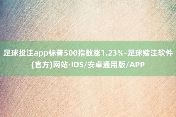 足球投注app标普500指数涨1.23%-足球赌注软件(官方)网站·IOS/安卓通用版/APP