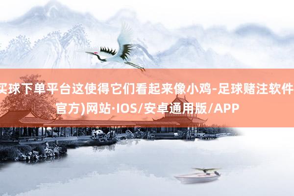 买球下单平台这使得它们看起来像小鸡-足球赌注软件(官方)网站·IOS/安卓通用版/APP