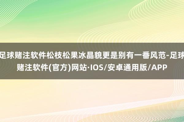 足球赌注软件松枝松果冰晶貌更是别有一番风范-足球赌注软件(官方)网站·IOS/安卓通用版/APP