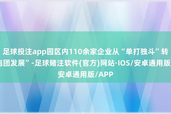 足球投注app园区内110余家企业从“单打独斗”转向“抱团发展”-足球赌注软件(官方)网站·IOS/安卓通用版/APP