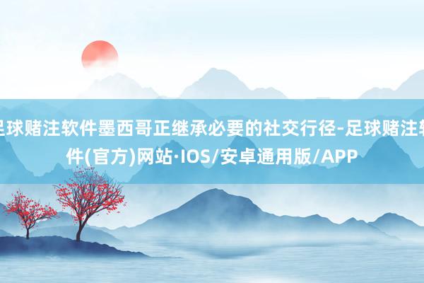足球赌注软件墨西哥正继承必要的社交行径-足球赌注软件(官方)网站·IOS/安卓通用版/APP